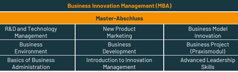 Studienverlaufsplan des MBA Business Innovation Management an der Graduate School Rhein-Neckar