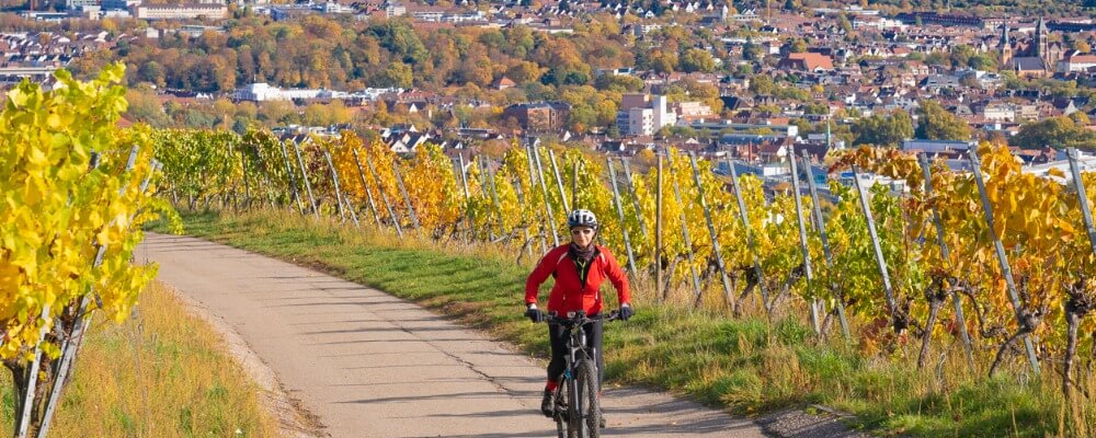 Fahrzeugbau in Baden-Württemberg