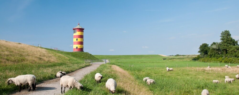 Fernstudium Bauingenieurwesen in Niedersachsen